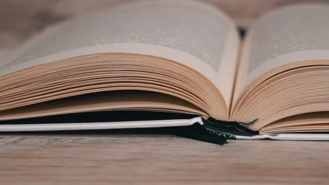 Open Book Animatio Stock Footage: Royalty-Free Video Clips