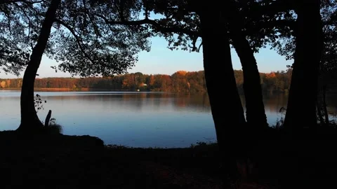 Turning pan shot of forest through trees around still water lake during fall Stock Footage 138762212