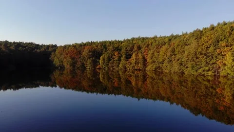 Turning pan shot of forest trees around still water lake during fall Stock Footage 138760362