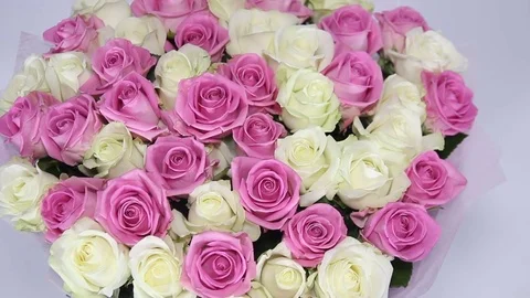Turning pink and white roses bouquet Stock Footage