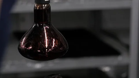 Turning on the red light bulb Stock Footage 121229656