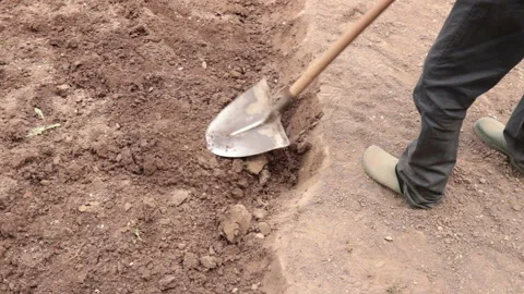 Turning the soil Stock Footage 130378206