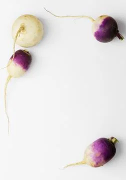 Turnip background Stock Photos