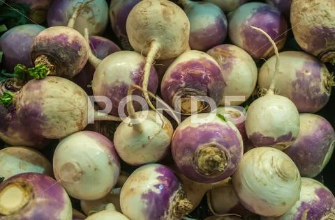 Turnip on display at farmers market Stock Photos