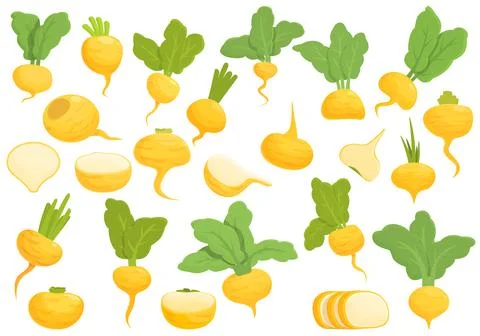 Turnip icons set cartoon vector. Plant cooking Stock Illustration