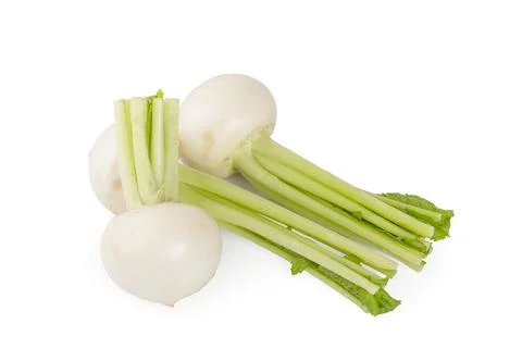 Turnip isolated on white background Stock Photos