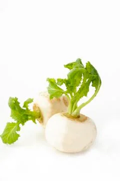 Turnip with leaves Stock Photos