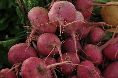 Turnip Foto stock