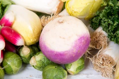 Turnip Stock Photos