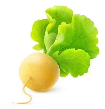 Turnip Foto stock