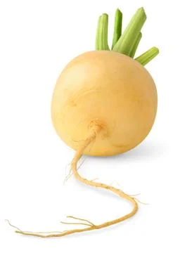 Turnip Stock Photos