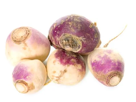 Turnip in studio Stock Photos