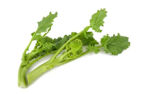 Turnip tops Stock Photos