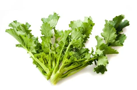 Turnip tops Stock Photos