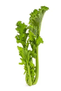 Turnip tops Stock Photos
