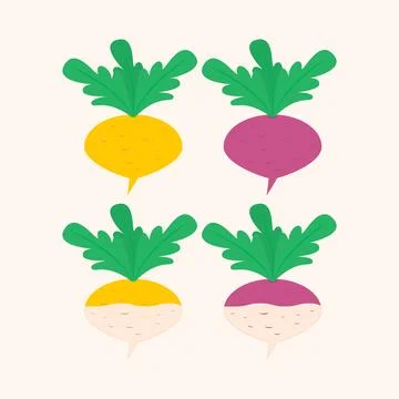Turnip vegetable icon. Colored vector isolated illustration.  Stock Illustration