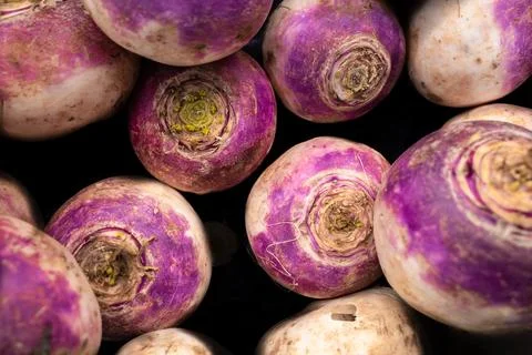 Turnip - vegetables Stock Photos