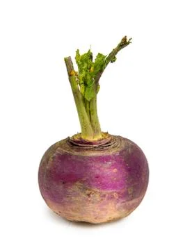 Turnip on white background Stock Photos