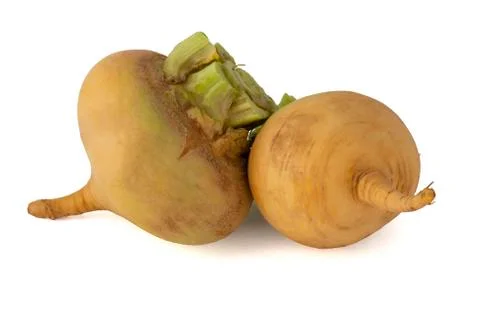 Turnip yellow root with a long tail on a white background Stock Photos