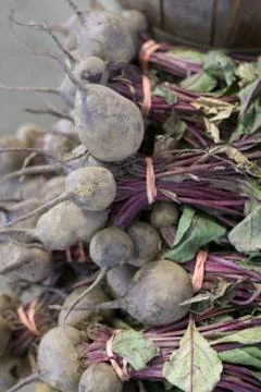 Turnips Stock Photos