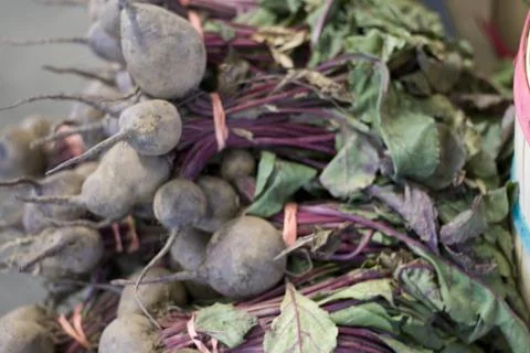 Turnips Stock Photos
