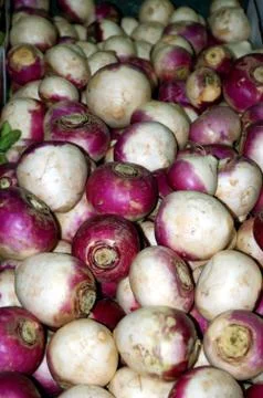 Turnips Stock Photos