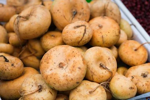 Turnips Stock Photos