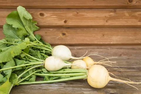Turnips. Vegetables from the garden Stock Photos