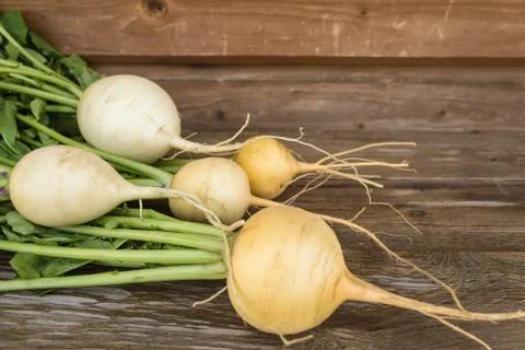 Turnips. Vegetables from the garden Stock Photos