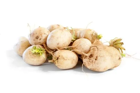 Turnips on white Stock Photos