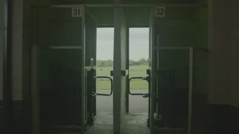 TURNSTILE 1 Stock Footage 306763332