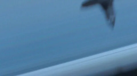 Turntable Stock Footage 395672