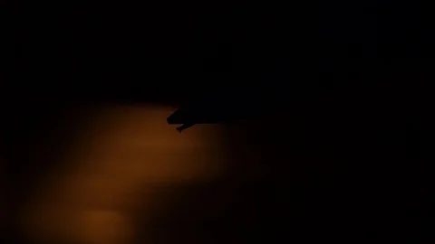 Turntable Stock-Footage 91533606