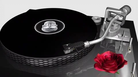 Turntable Player - Infernal Vinyl - Red Flower - Playing Loop Stock Footage 219704667