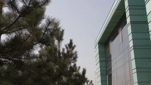 Turquise modern building, pine trees infront, close up Stock Footage 74387037