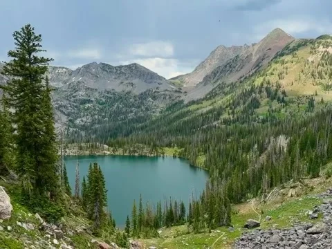 Turquoise Alpine Lake in Dense Pine Forest with Rugged Mountain Peaks Stock Footage 339775052