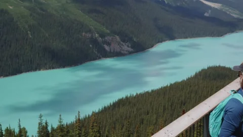 Turquoise Alpine Lake Surrounded by Lush Pine Forests Scenery Stock Footage 255545296