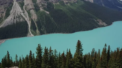 Turquoise Alpine Lake Surrounded by Pine Forest and Mountains Stock Footage 255545436