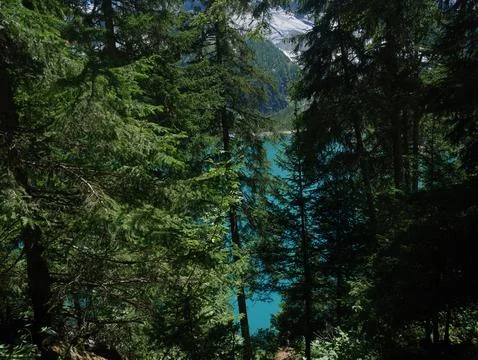 Turquoise Alpine Lake Through Pine Forest, Meditation Retreat Vacation Destinati Stock Photos