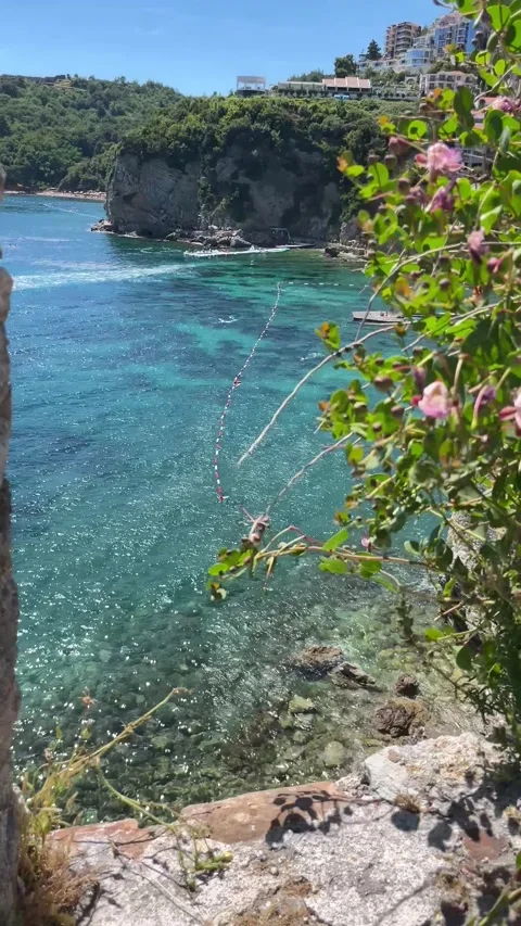 Turquoise Bay View Through Flowers in Budva Montenegro 4K 스톡 동영상 341699283