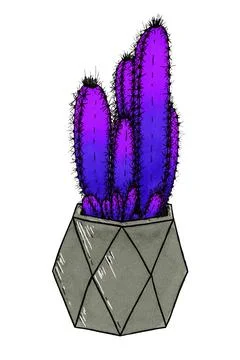 Turquoise-blue cactus in a gray geometric pot on a white background illustration Stock Illustration