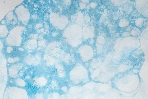 Turquoise blue foam like pattern on white background, abstract texture Stock Photos