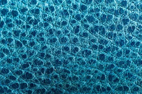Turquoise Blue Leather Texture with Embossed Scale Pattern, Exotic Fashion .. Stockfoto's