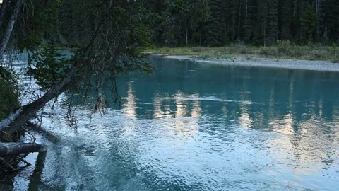 Turquoise blue mountain river flowing through a northern forest park reflecting Stock Footage 333074911