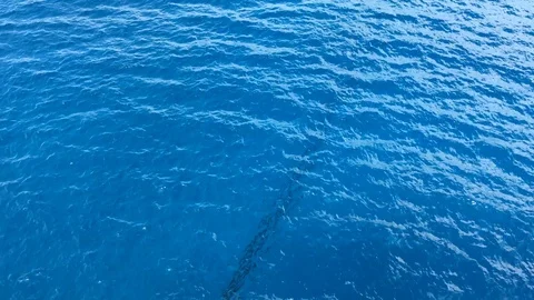 Turquoise Caribbean sea Stock Footage 119151217