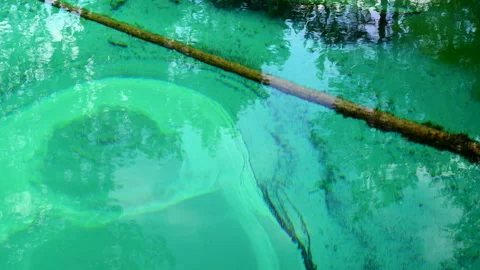 Turquoise clear water in a spring Stock Footage 245820543