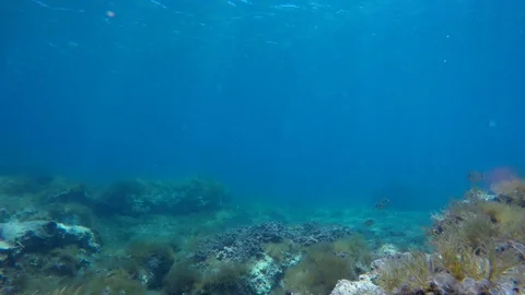 Turquoise collor open waters in the Mediterranean Sea. Stock Footage 129462132