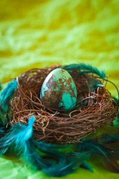 Turquoise Easter egg Stockfoto's