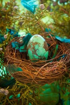 Turquoise Easter egg Stock Photos