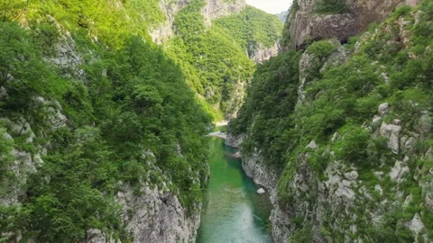 Turquoise emerald river flowing through deep Tara River Canyon Montenegro Stock Footage 341755214
